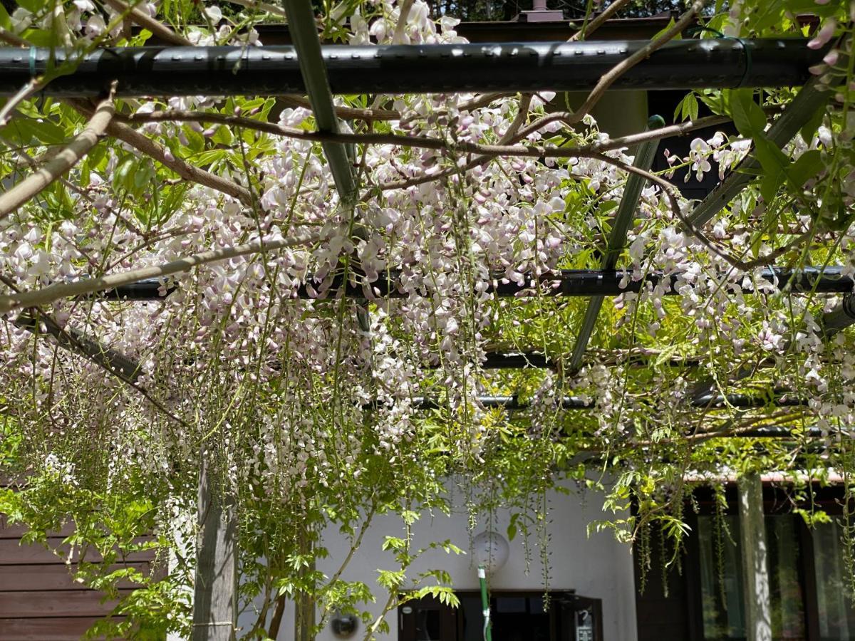 Pension Lanpou Fujikawaguchiko Exterior foto